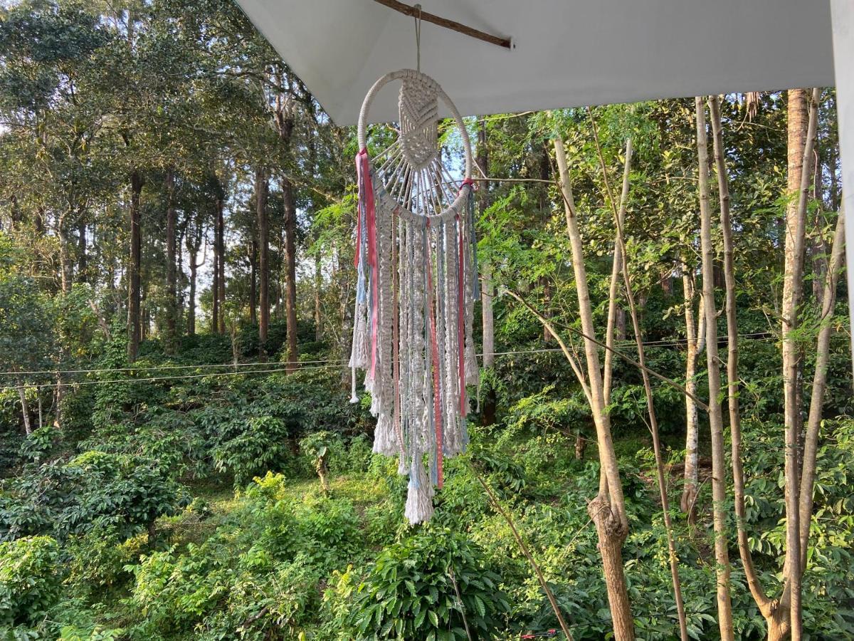 Ammus Homestay テッカディ エクステリア 写真