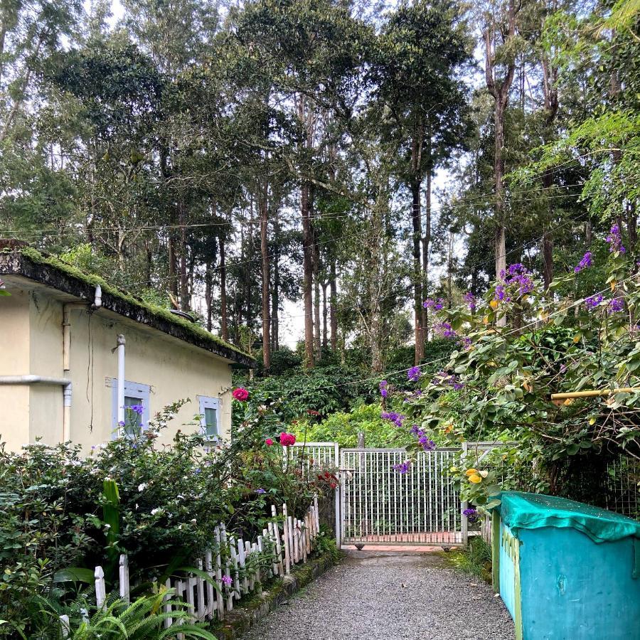 Ammus Homestay テッカディ エクステリア 写真